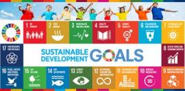 Apa Itu SDGs Desa?